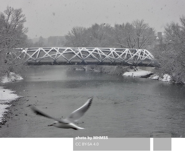 Architectour.net - Pont Hans-Wilsdorf [ Hans-Wilsdorf Bridge ]